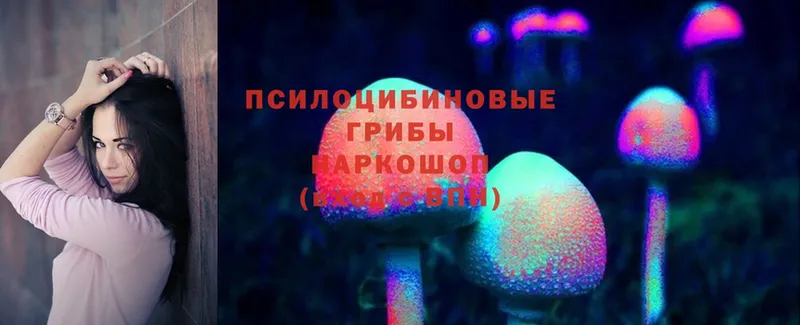 Галлюциногенные грибы Magic Shrooms  Байкальск 